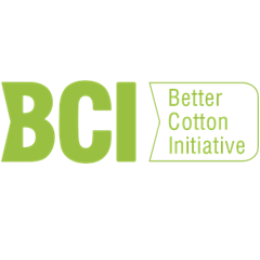 BCI Logo