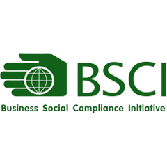 BSCI Logo